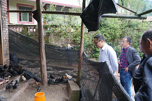 yh0612cc����(�й�)���޹�˾