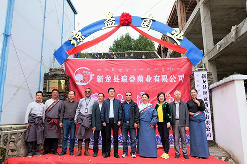 yh0612cc����(�й�)���޹�˾