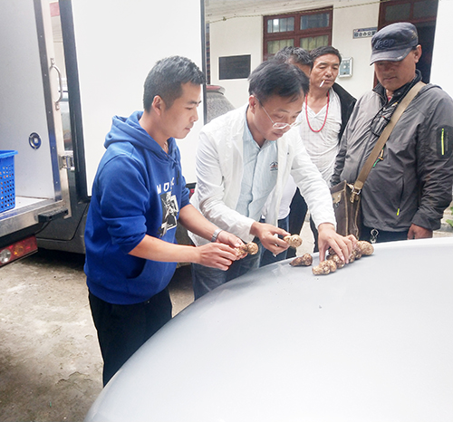 yh0612cc����(�й�)���޹�˾