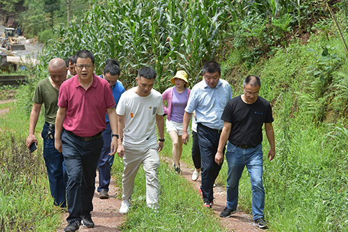 yh0612cc����(�й�)���޹�˾