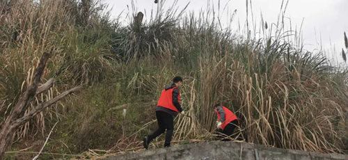 yh0612cc����(�й�)���޹�˾