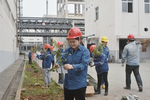 yh0612cc����(�й�)���޹�˾