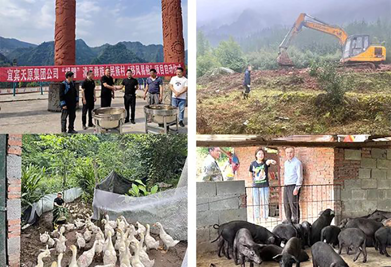 yh0612cc����(�й�)���޹�˾